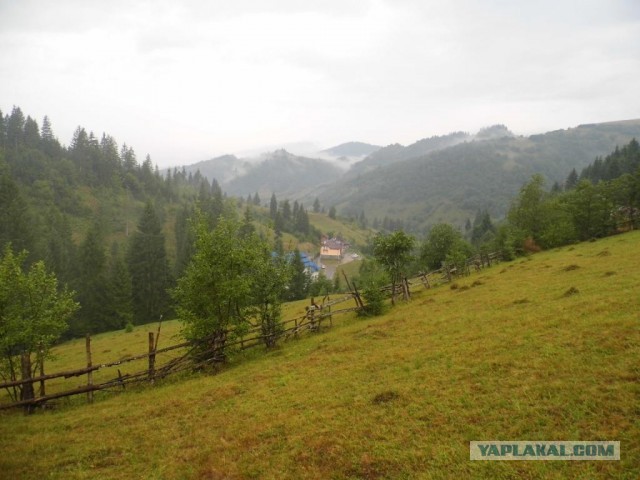 В Карпатах