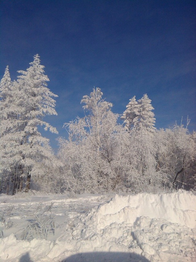 Цвет Зимы