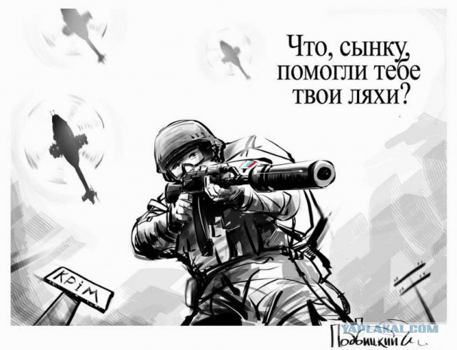 Десяток карикатур
