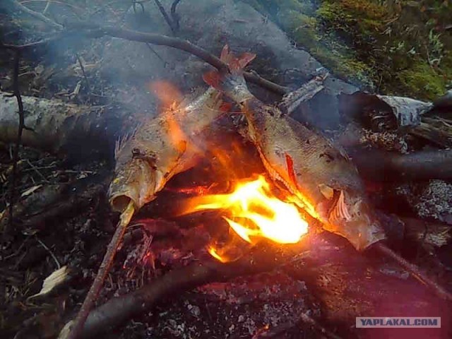 Рыбалка прошла на 5 баллов