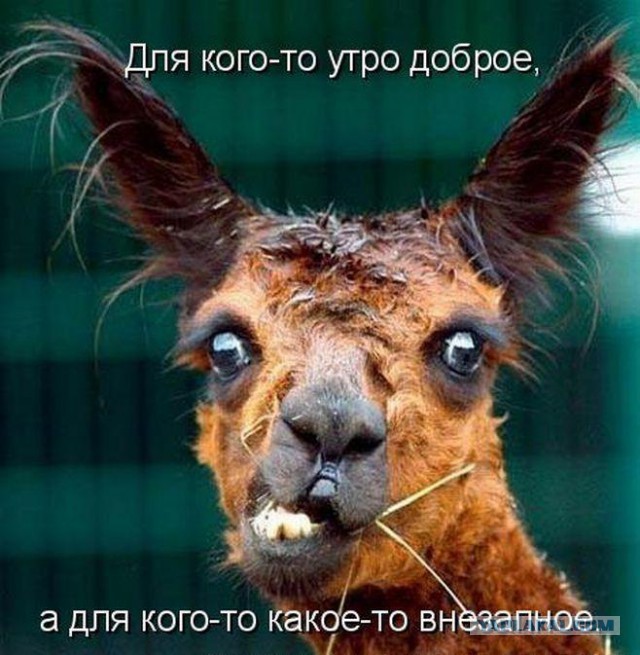 Демотиваторов пост, добавляйте свои