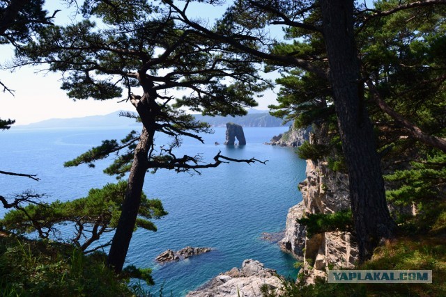 Бухта Теляковского