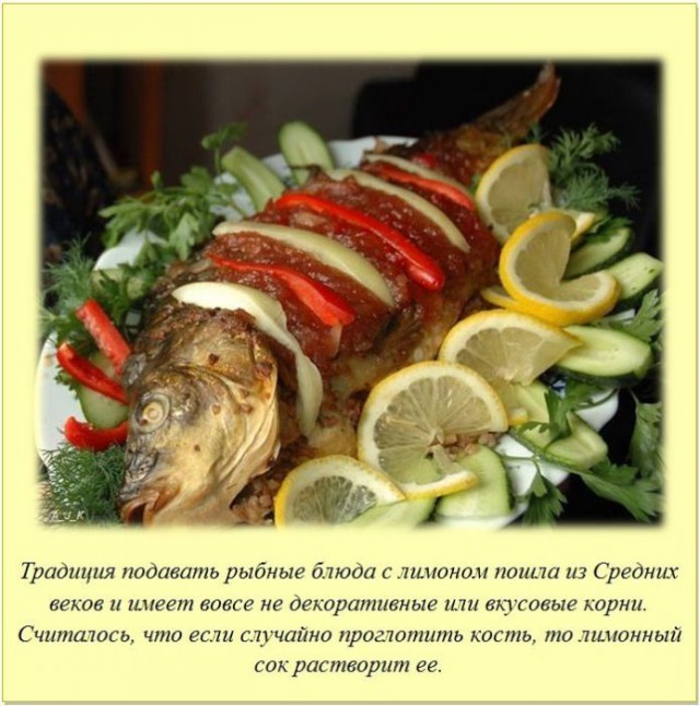 20 фактов обо всем