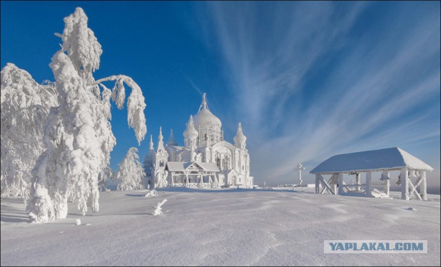 Лучшие фотографии месяца