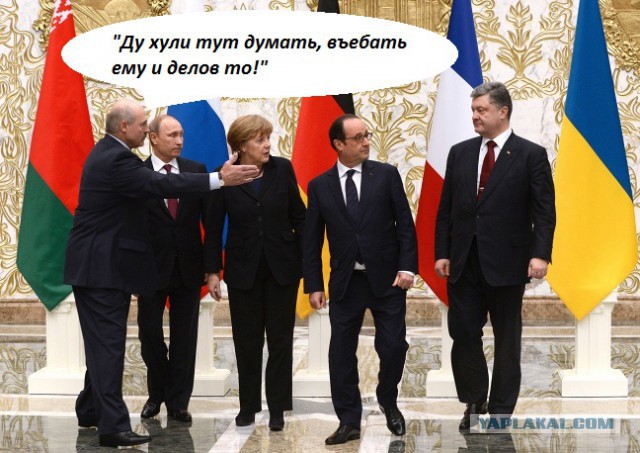 Предлагаю пожабить