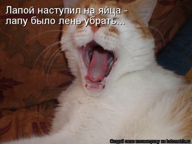 14 людей, чья лень граничит с гениальностью