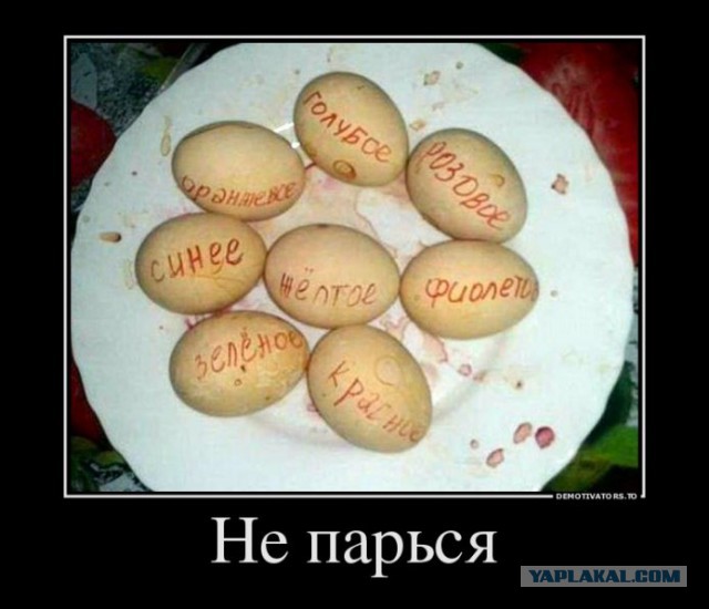 Забавные картинки из Сети