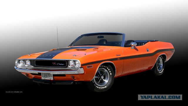Muscle cars. История сумасшествия