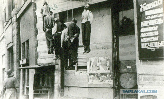 Подборка редких фотографий со всего мира