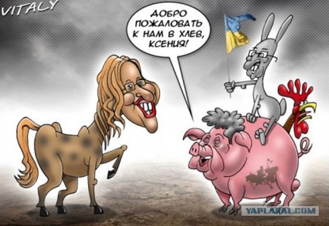 Собчак сравнила себя с Поклонской