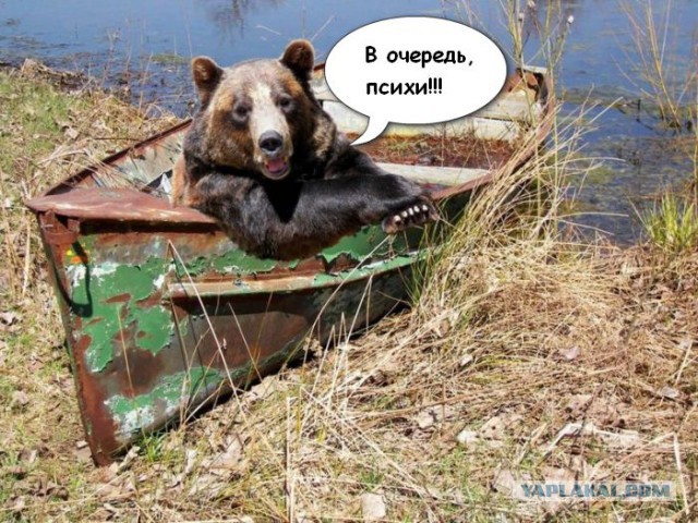 Задачка от психиатра