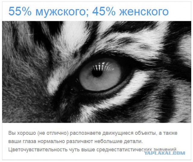 Тест: Вы воспринимаете этот мир глазами мужчины или женщины?