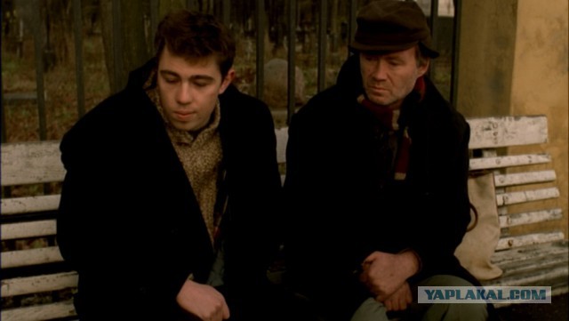 Рецепт выращивания "кобелины" и "сволоча" в домашних условиях