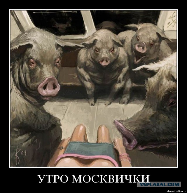 Равноправие