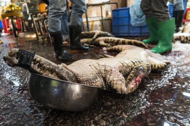 Китайский рынок морепродуктов