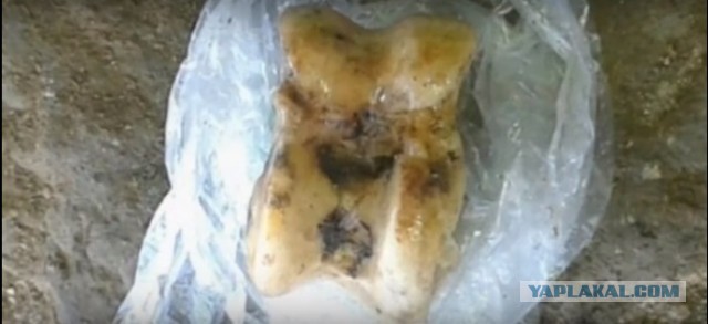 Исчезновение и трагическая гибель Лисанн Фрон и Крис Кремерс