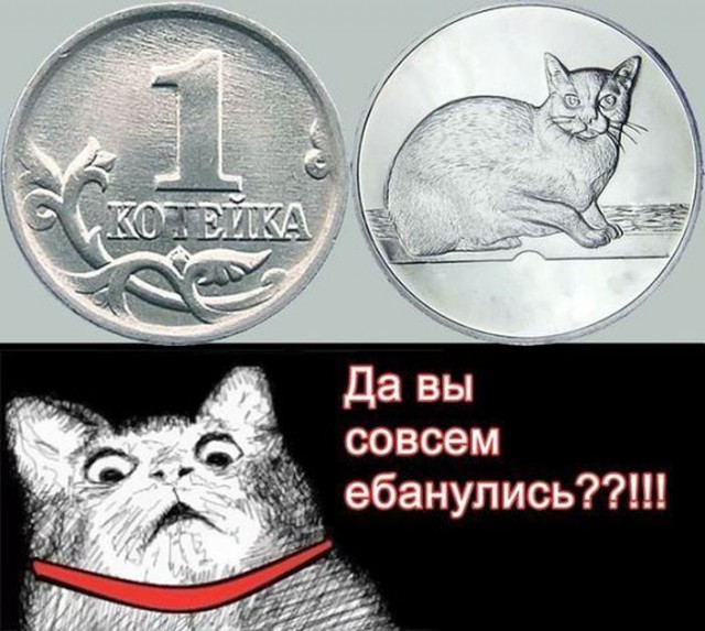 Прикольных котов пост