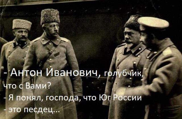 Под Волгоградом на глазах у селян расстреляли стадо коров