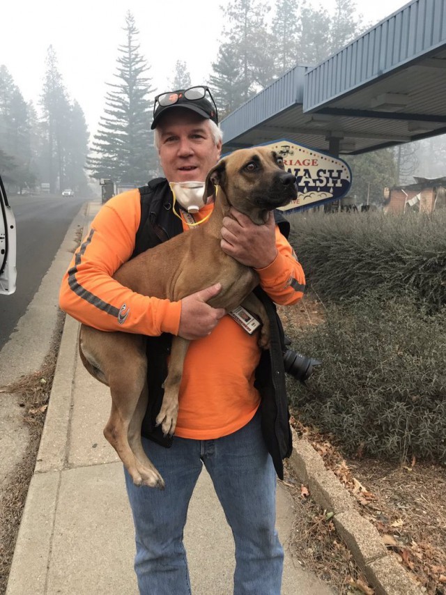 Животные пережившие пожар в Калифорнии.