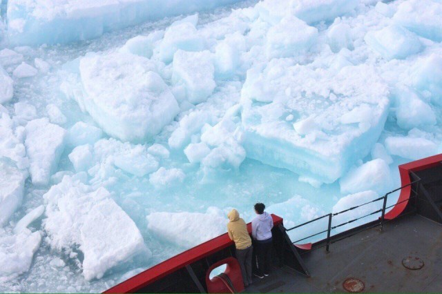 Подборка разных красивых фото