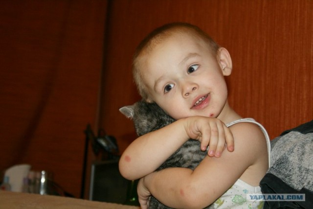 Лучшие друзья навсегда