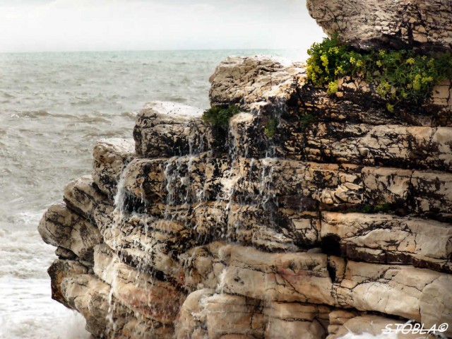 любительская фотография