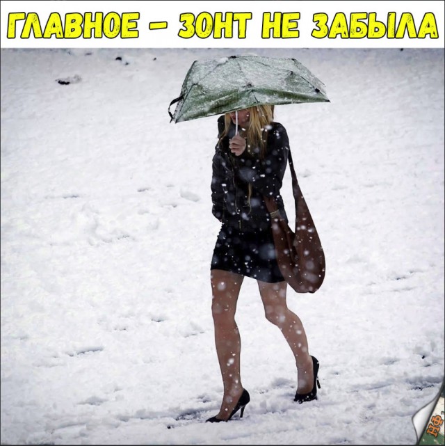 Прикольные картинки абавсём