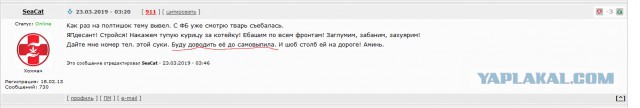 Что рассказывает виновница наезда на кота Шурика в Симферополе