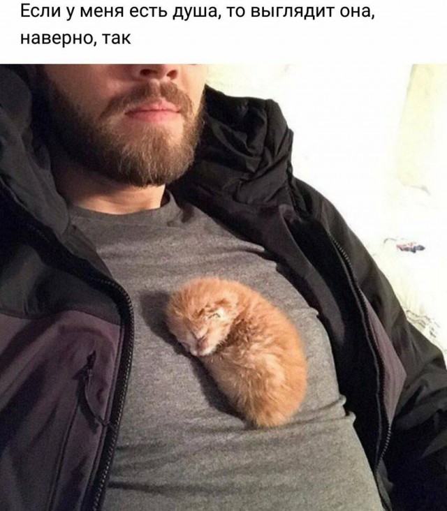 Анекдоты, соц-сети и картинки с надписями