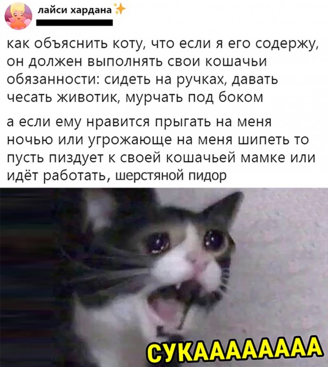 Немного картинок для настроения