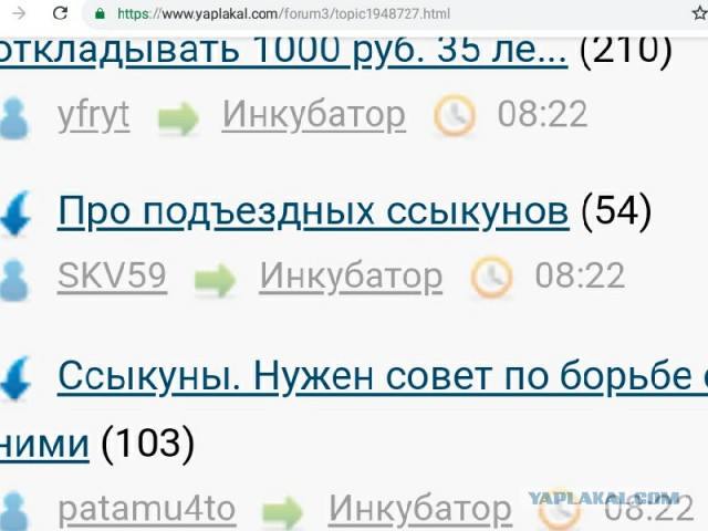 Про подъездных ссыкунов
