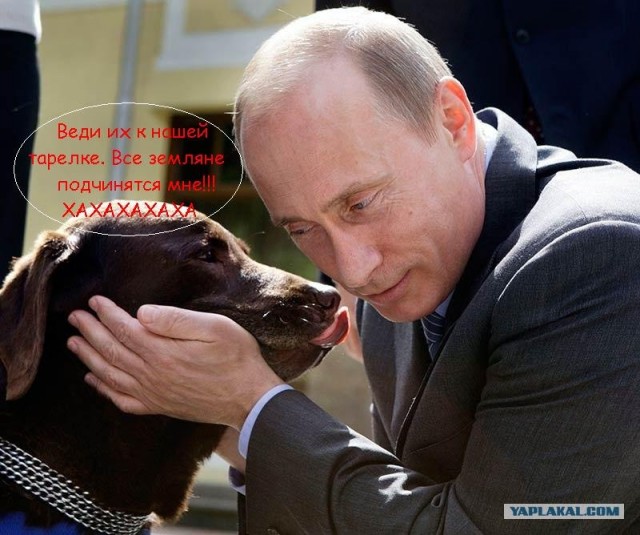 Путин и лабрадор