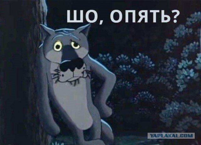Женщины в России постоянно требуют "настоящих мужиков". А соответствуют ли сами?