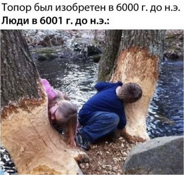 Чуток картинок!