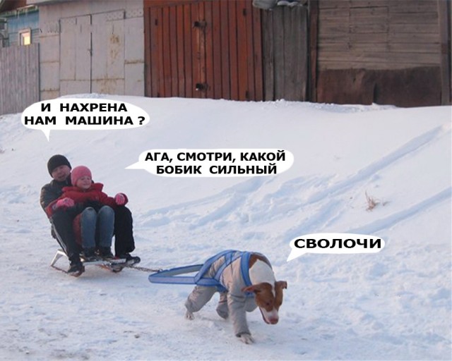 Чуток картинок! 03.01.20