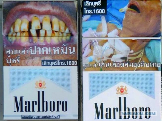 Австралийцы - курите "на здоровье