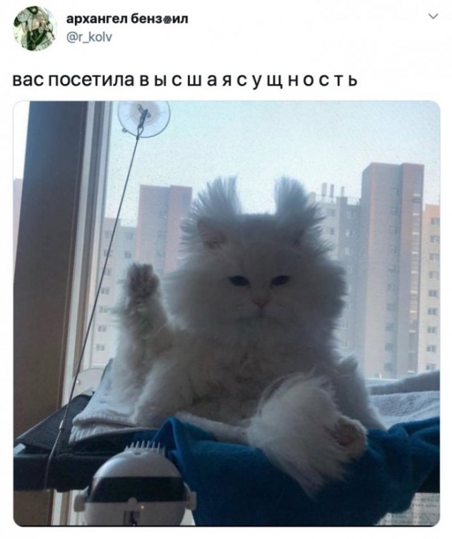 Немного картинок для настроения 18.05.20