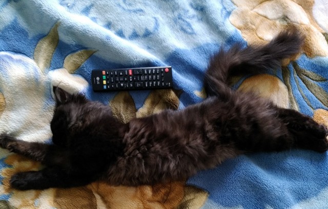 Что говорят мужчины о пышных женщинах