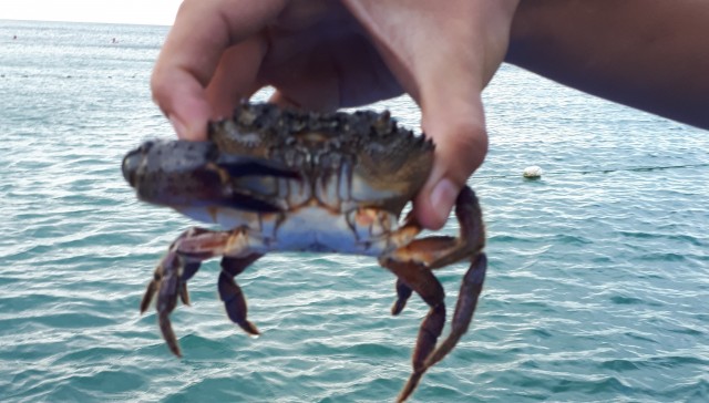 Отзыв о поездке на море