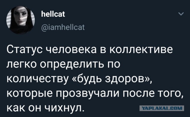 Моя подборка картинок для любимого сайта с любимого сайта