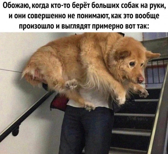 Картинки и мемы для настроения 026
