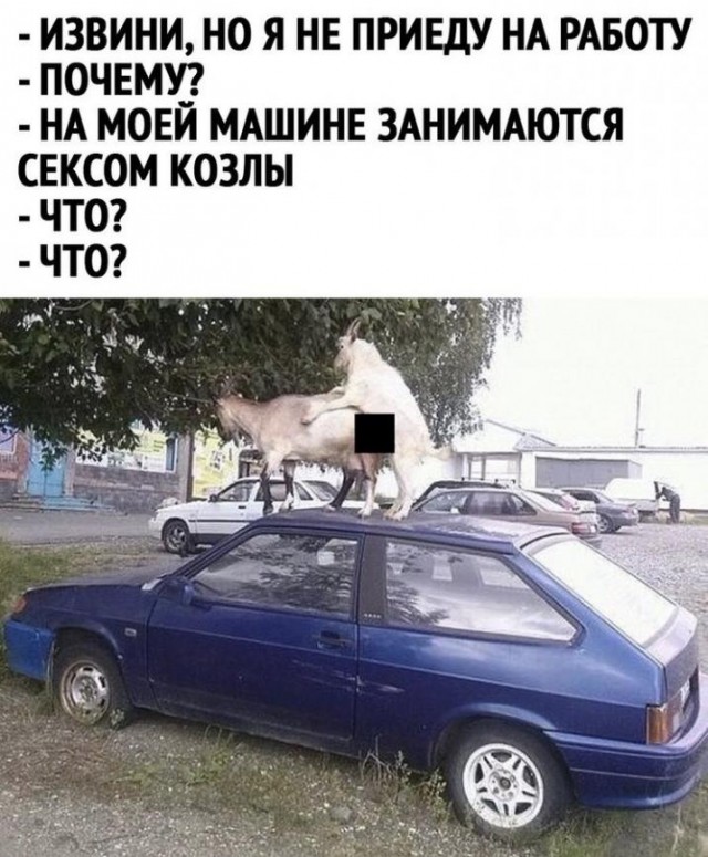 Бредзона 08.02.2021