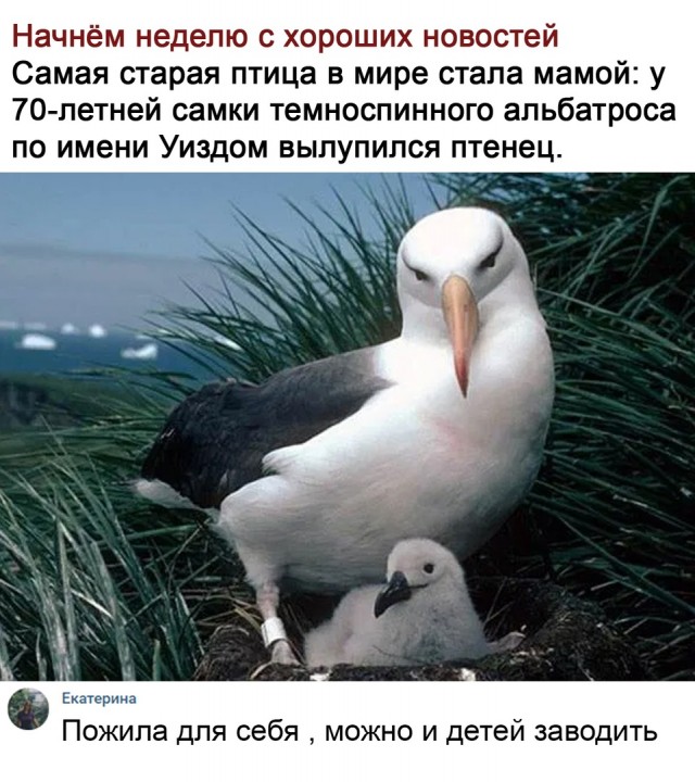 Дебилизмы из сети 8.02.21