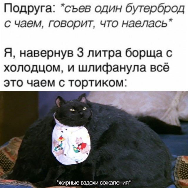 Весёлый полтишок 13.02