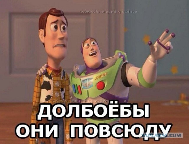 Борзый поцык с синдромом широкой спины