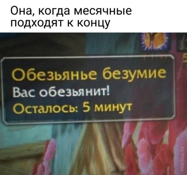 Картинки и мемы для настроения 020