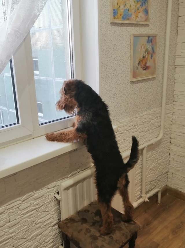Мочи крота! Нужен совет.