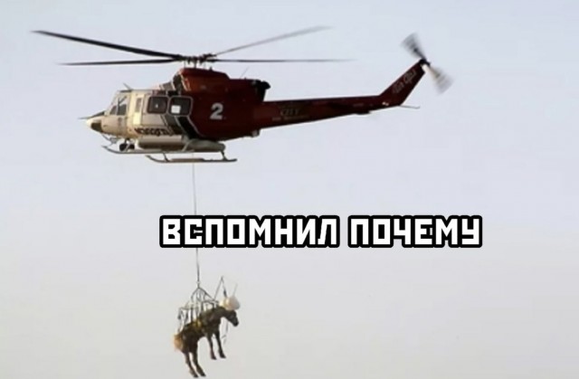 Алкопост