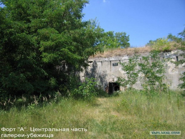 Форты Бреста