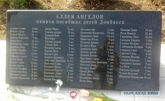 Раша, выходи!